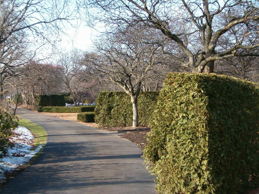 grounds1.jpg