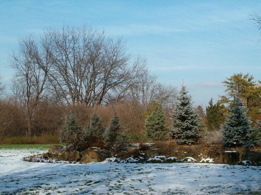 grounds2.jpg
