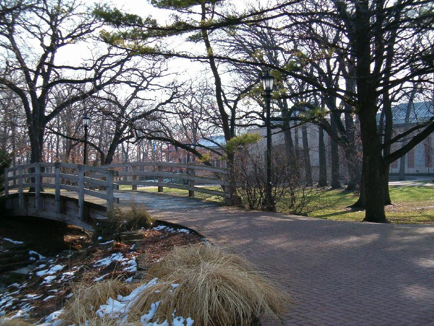 grounds4.jpg