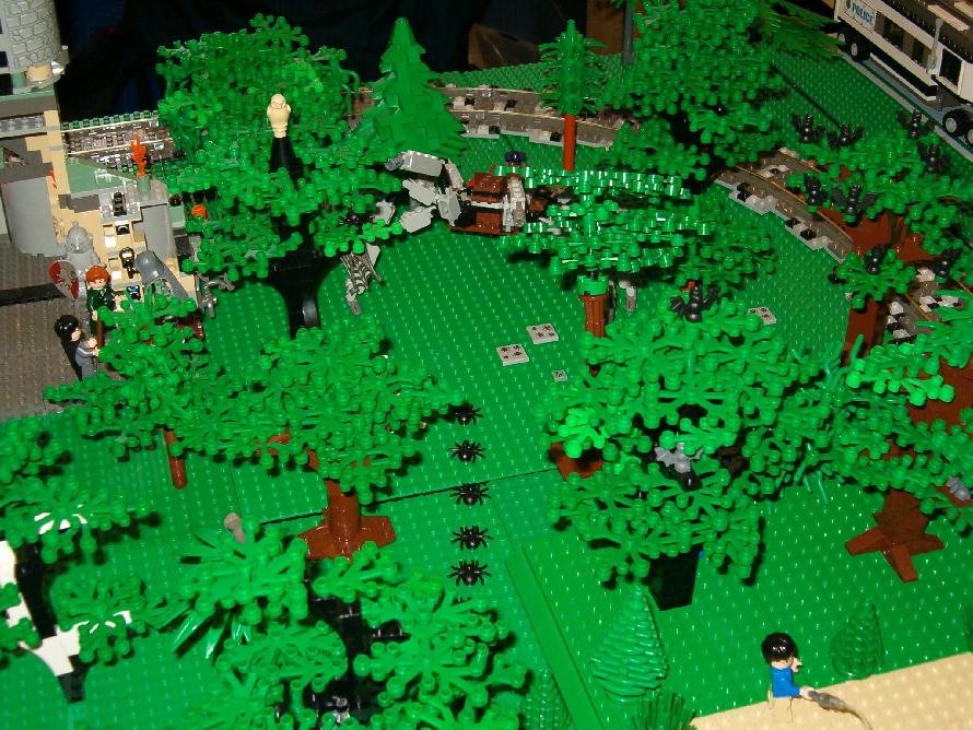 dark_forrest.jpg