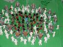 surrounded.jpg