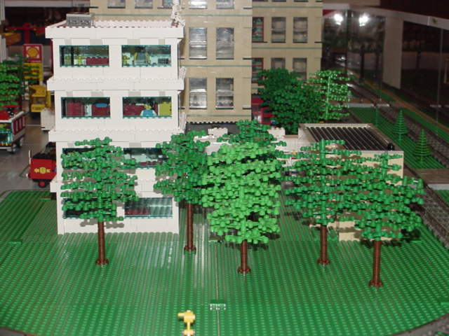 trees.jpg