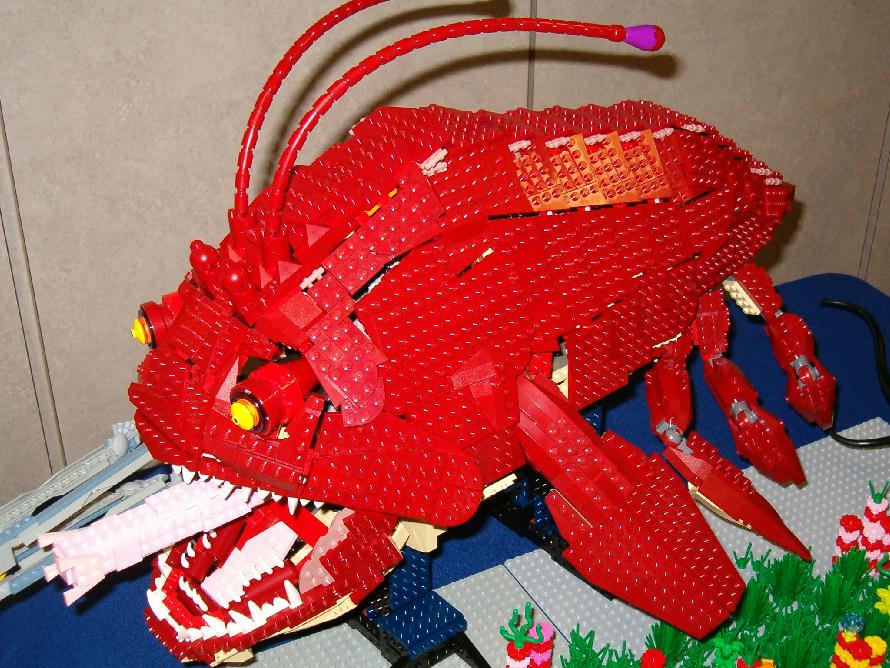 rock_lobster.jpg