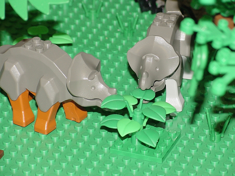 dino_salad.jpg