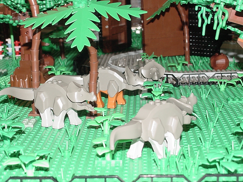 herd.jpg