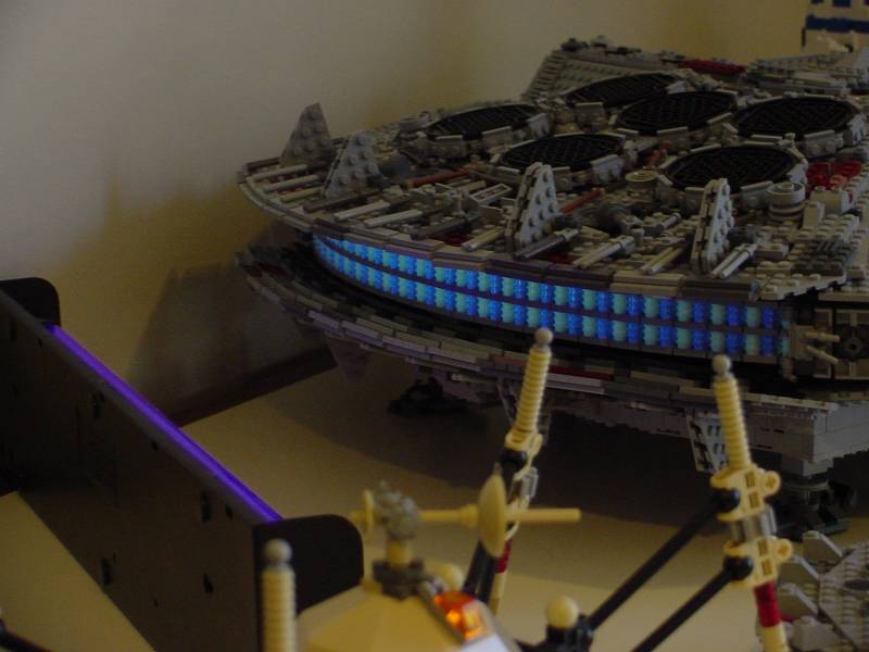 falcon_by_blacklight.jpg