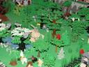 dark_forrest.jpg
