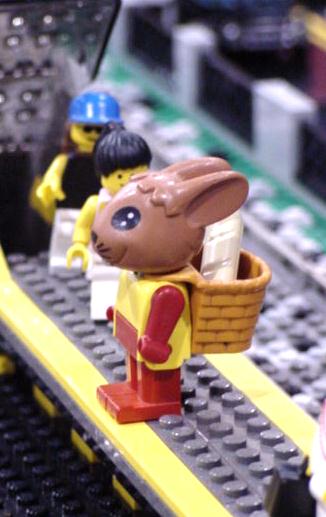 bunny.jpg