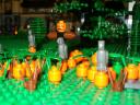pumpkin_patch.jpg
