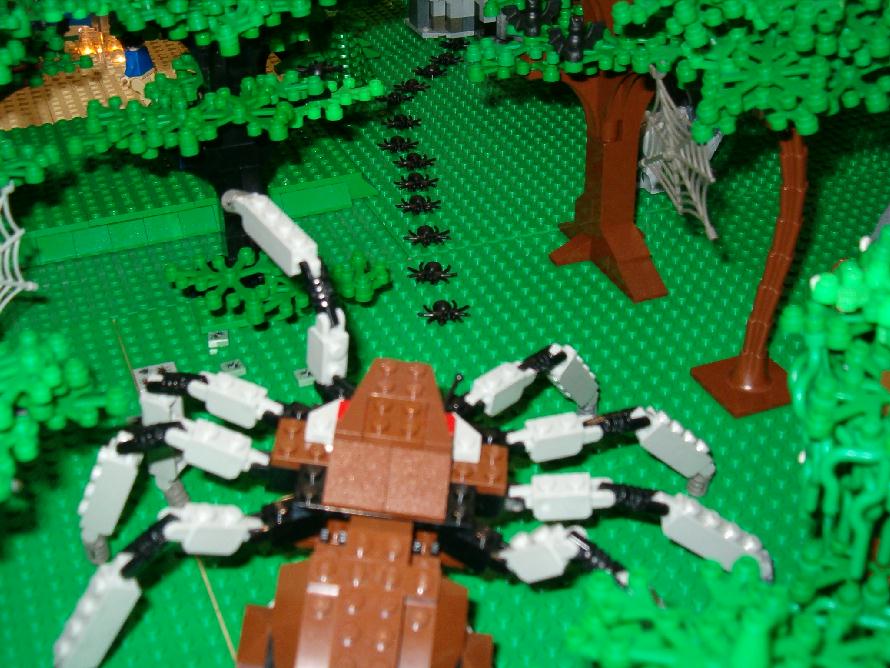 follow_the_spiders.jpg