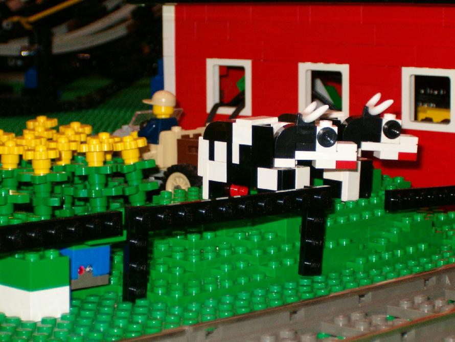cows.jpg