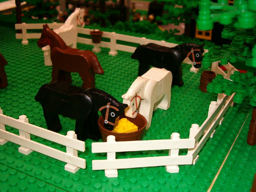 horses.jpg