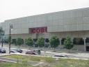 cobo.jpg