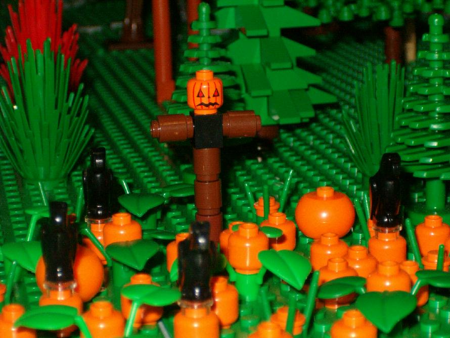 pumpkin_patch.jpg