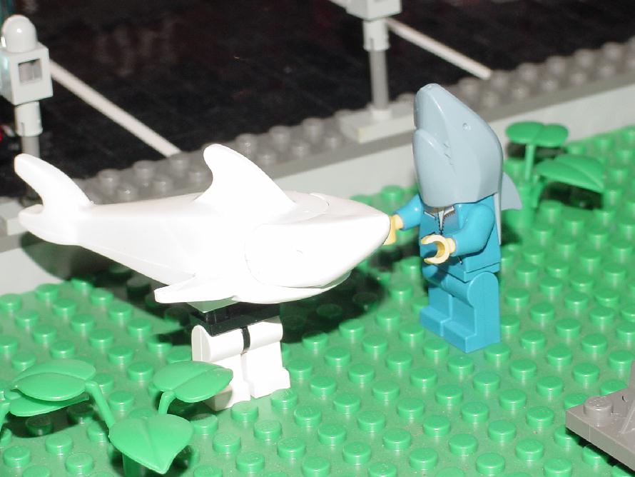 land_sharks.jpg