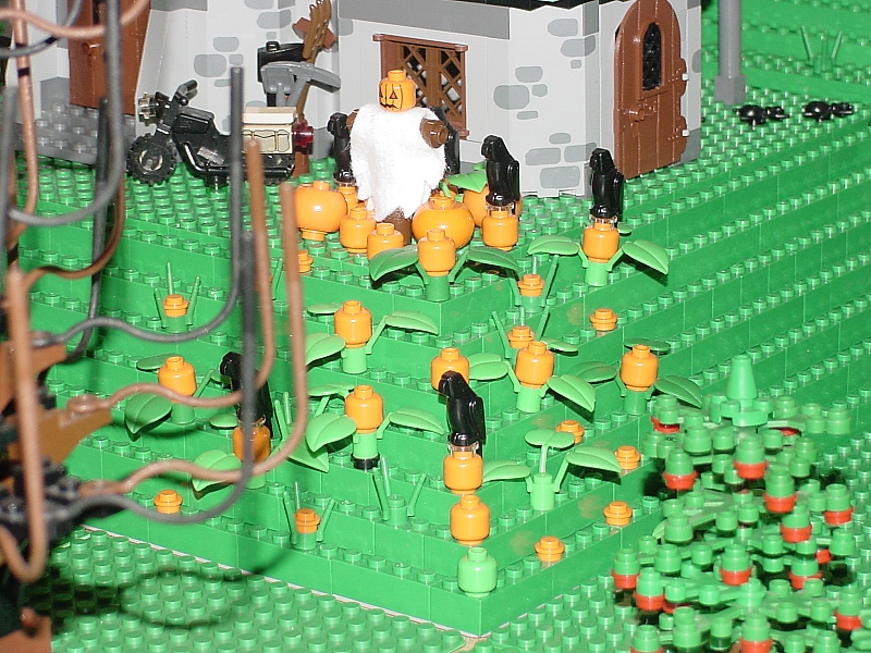 pumpkin_patch.jpg