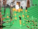 pumpkin_patch.jpg
