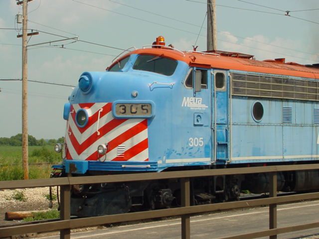 305.jpg