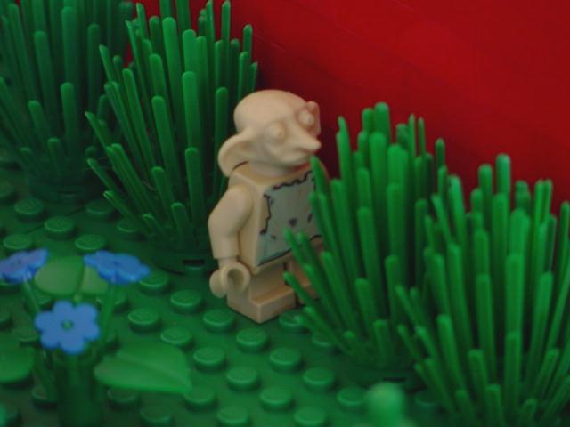 dobby.jpg