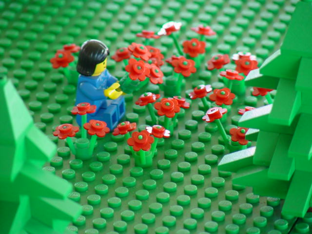 flowers.jpg