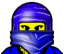 ico_ninja_blue.gif