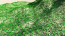 palms.jpg