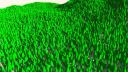 trees2.jpg