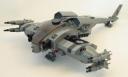 hammerhead_008.jpg