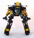 yellow_jacket009.jpg
