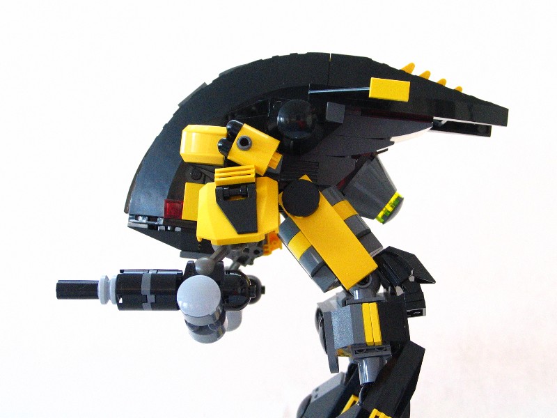 yellow_jacket006.jpg