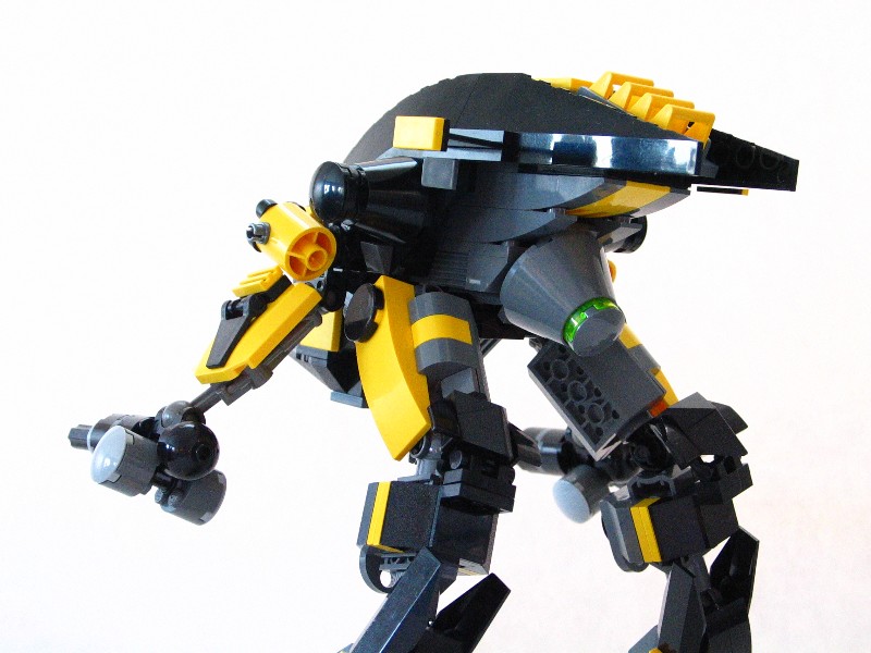 yellow_jacket008.jpg