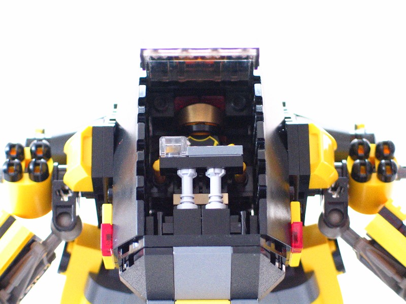 yellow_jacket011.jpg