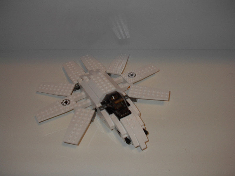 starfish_01.jpg
