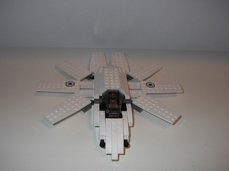 starfish_02.jpg