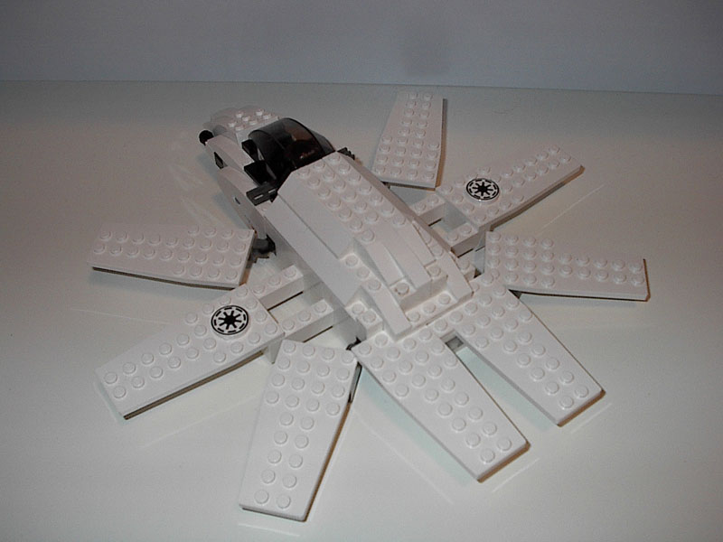 starfish_03.jpg