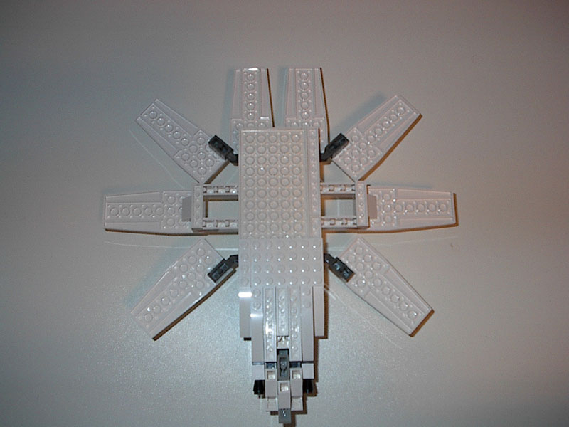 starfish_04.jpg