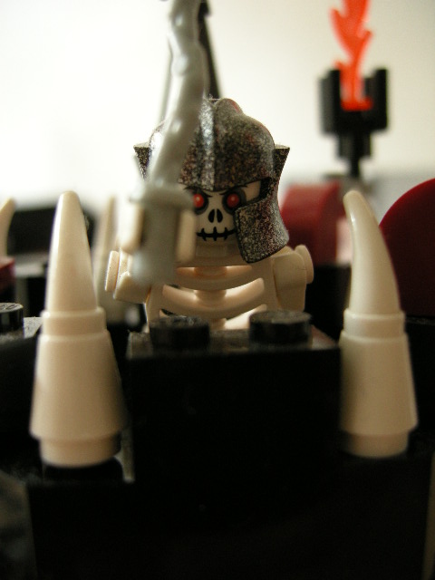 cart5.jpg