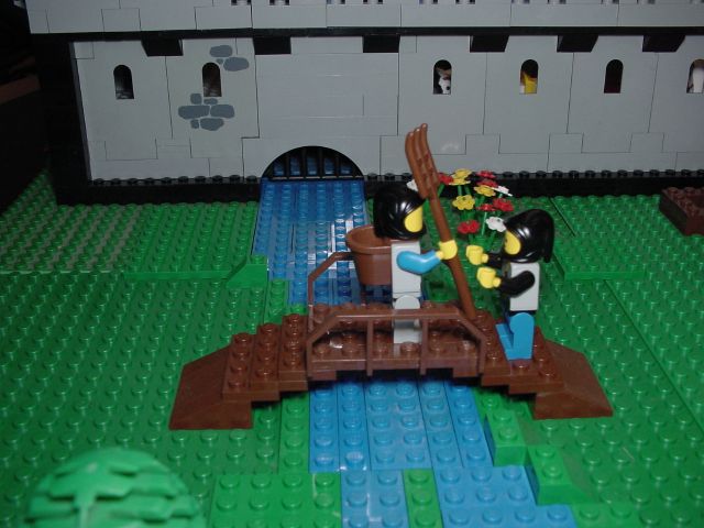 dsc01234.jpg