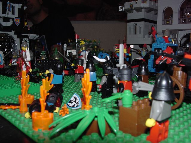 dsc01237.jpg