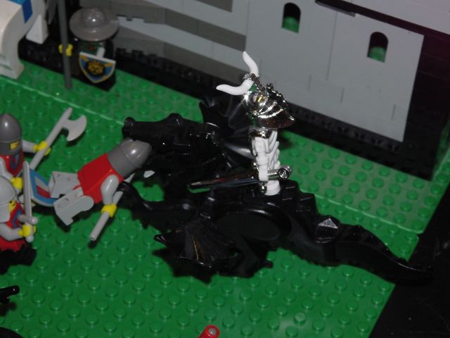 dsc01240.jpg