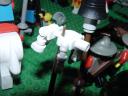 dsc01201.jpg