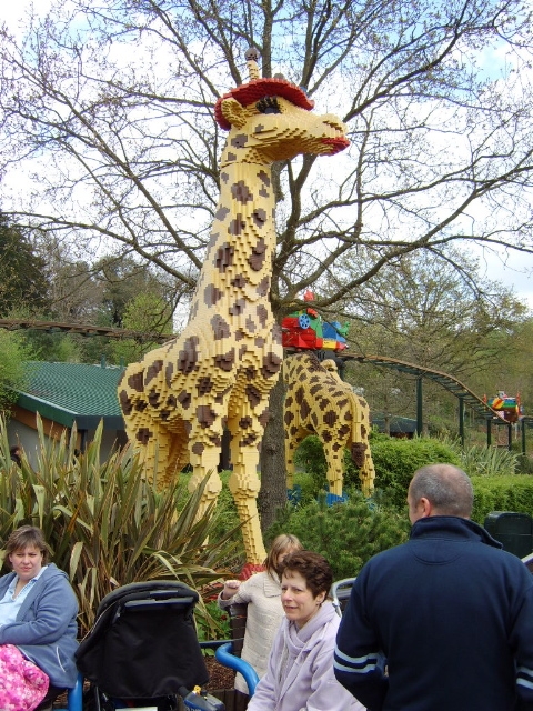 giraffes1.jpg