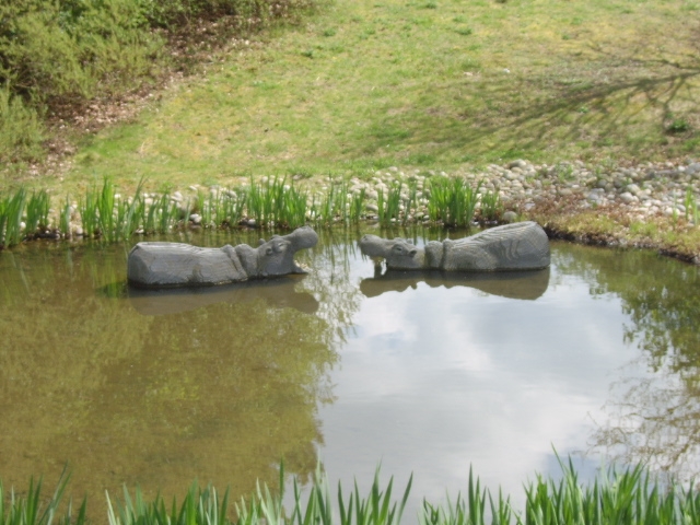 lake.jpg