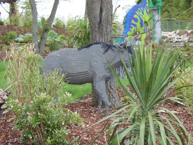 safari11.jpg