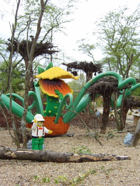 safari2.jpg
