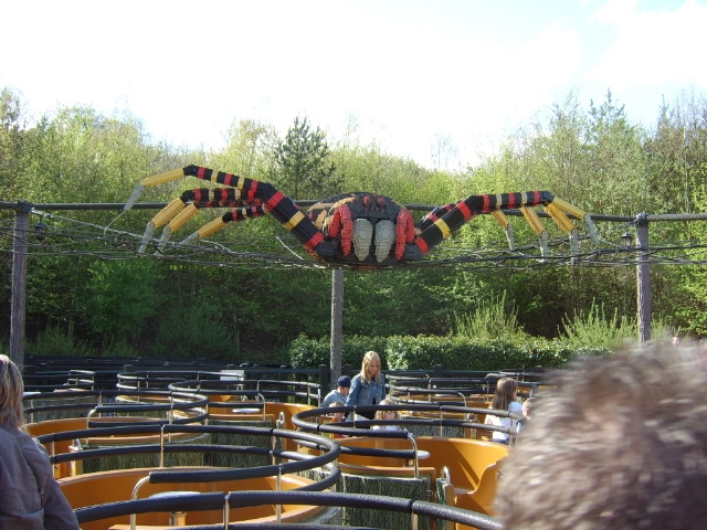 spider.jpg