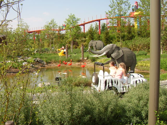 sta60106.jpg