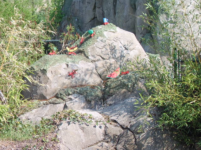 sta60108.jpg