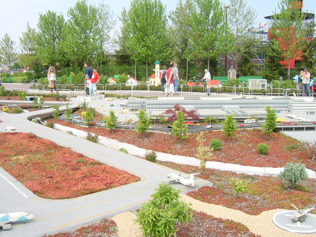 sta60202.jpg