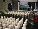 2010legoworld070.jpg
